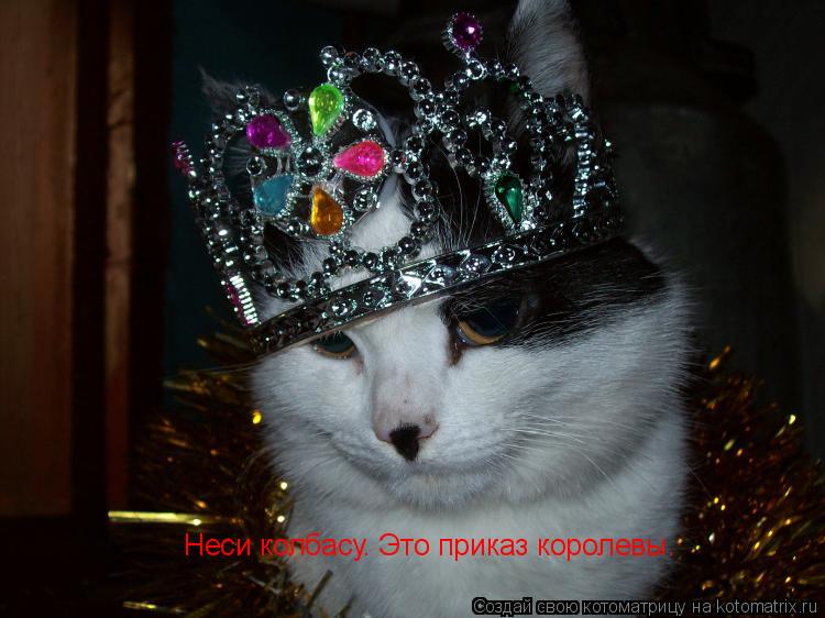 Неси колбасу. Это приказ королевы.... Котоматрица: Неси колбасу. Это приказ королевы.
