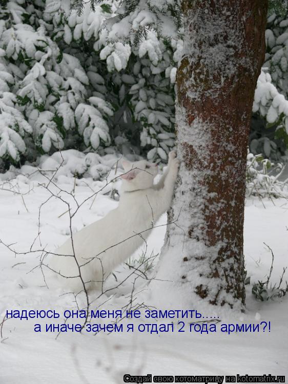 надеюсь она меня не заметить..... а иначе зачем я отдал 2 года армии?!... Котоматрица: надеюсь она меня не заметить..... а иначе зачем я отдал 2 года армии?!