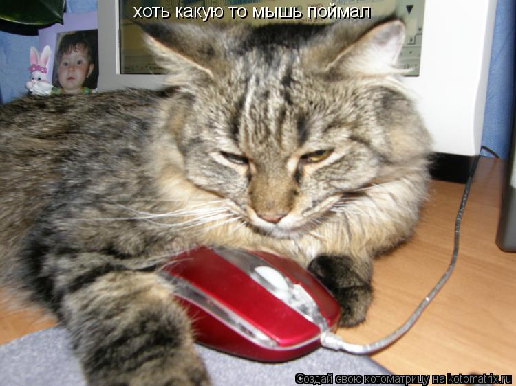 Котоматрица: хоть какую то мышь поймал