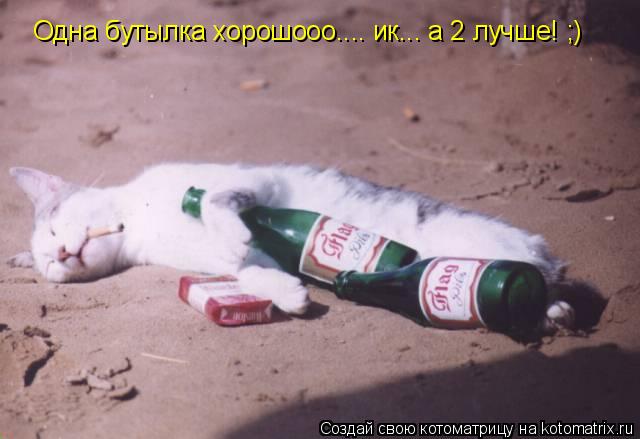 Одна бутылка хорошооо.... ик... а 2 лучше! ;)... Котоматрица: Одна бутылка хорошооо.... ик... а 2 лучше! ;)