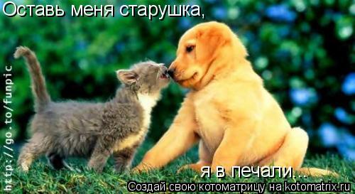 Оставь меня старушка, я в печали...... Котоматрица: Оставь меня старушка, я в печали...