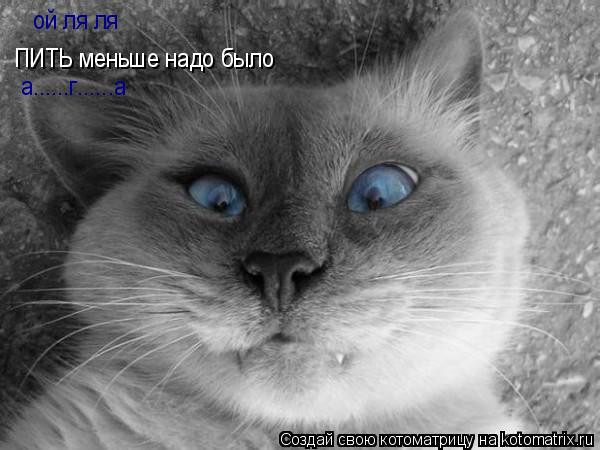 ой ля ля ПИТЬ меньше надо было а......г......а... Котоматрица: ой ля ля ПИТЬ меньше надо было а......г......а