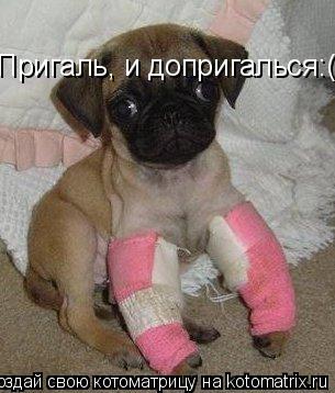 Пригаль, и допригалься:(... Котоматрица: Пригаль, и допригалься:(
