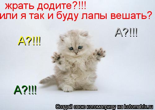 жрать додите?!!! или я так и буду лапы вешать? А?!!! А?!!! А?!!!... Котоматрица: жрать додите?!!! или я так и буду лапы вешать? А?!!! А?!!! А?!!!