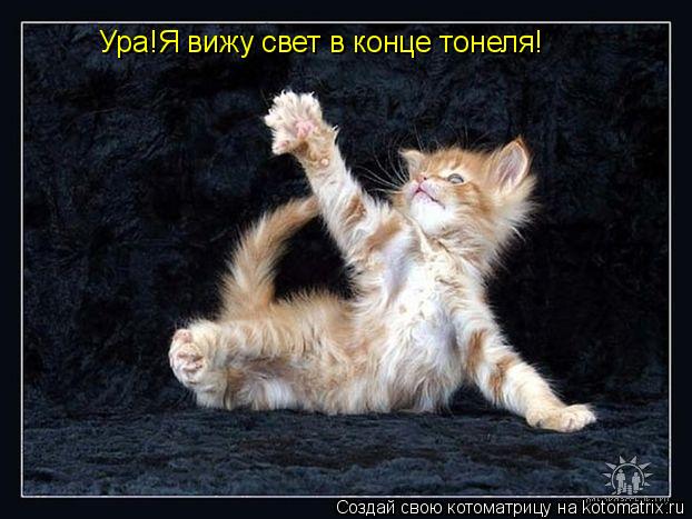 Ура!Я вижу свет в конце тонеля!... Котоматрица: Ура!Я вижу свет в конце тонеля!