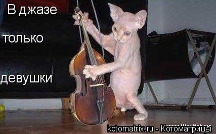 В джазе только девушки... Котоматрица: В джазе только девушки