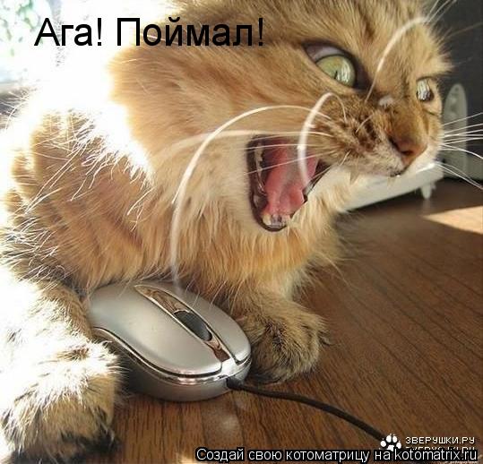Ага! Поймал!... Котоматрица: Ага! Поймал!