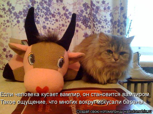 Если человека кусает вампир, он становится вампиром. Такое ощущение, что многих вокруг искусали баран... Котоматрица: Если человека кусает вампир, он становится вампиром. Такое ощущение, что многих вокруг искусали бараны...