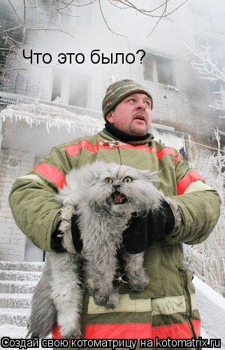 Что это было?... Котоматрица: Что это было?