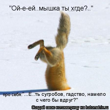 "Ой-е-ей..мышка ты хгде?.." про себя: "...Е..ть сугробов, гадство, намело с чего бы вдруг?"... Котоматрица: "Ой-е-ей..мышка ты хгде?.." про себя: "...Е..ть сугробов, гадство, намело с чего бы вдруг?"