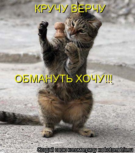 КРУЧУ ВЕРЧУ ОБМАНУТЬ ХОЧУ!!!... Котоматрица: КРУЧУ ВЕРЧУ ОБМАНУТЬ ХОЧУ!!!