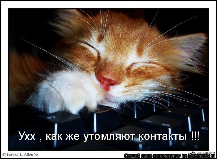Ухх , как же утомляют контакты !!!... Котоматрица: Ухх , как же утомляют контакты !!!
