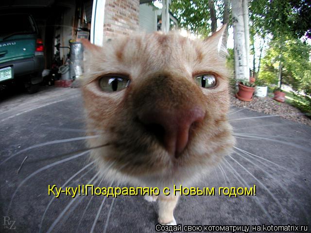 Ку-ку!!Поздравляю с Новым годом!... Котоматрица: Ку-ку!!Поздравляю с Новым годом!