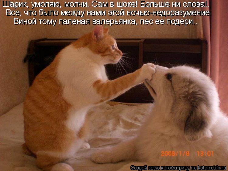 Все, что было между нами этой ночью-недоразумение Виной тому паленая валерьянка, пес ее подери.. Шар... Котоматрица: Все, что было между нами этой ночью-недоразумение Виной тому паленая валерьянка, пес ее подери.. Шарик, умоляю, молчи. Сам в шоке! Больше ни с