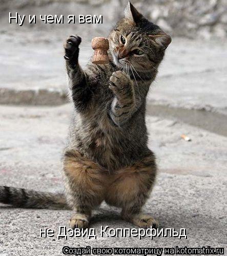 Ну и чем я вам не Дэвид Копперфильд... Котоматрица: Ну и чем я вам не Дэвид Копперфильд