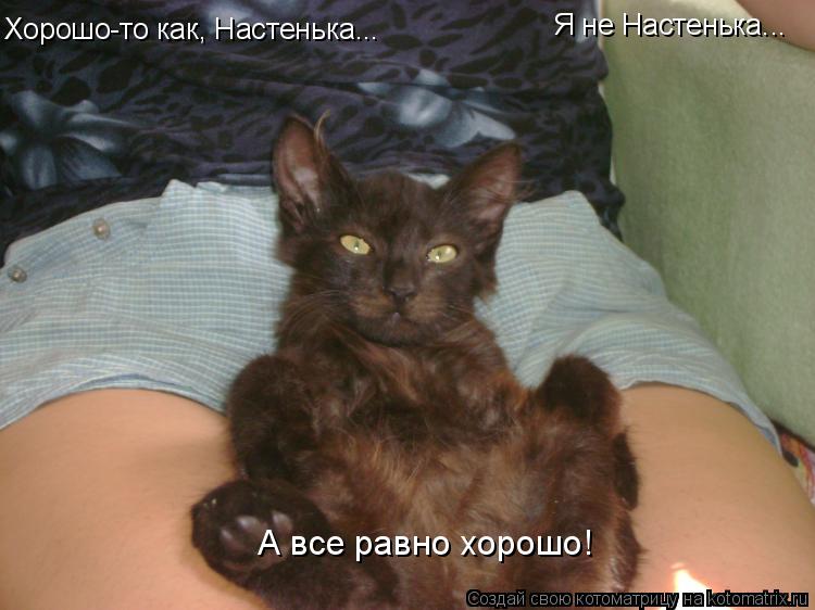 Хорошо-то как, Настенька... Я не Настенька... А все равно хорошо!... Котоматрица: Хорошо-то как, Настенька... Я не Настенька... А все равно хорошо!