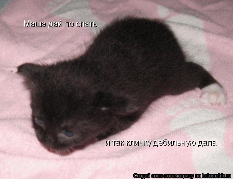 Маша дай по спать и так кличку дебильную дала... Котоматрица: Маша дай по спать и так кличку дебильную дала