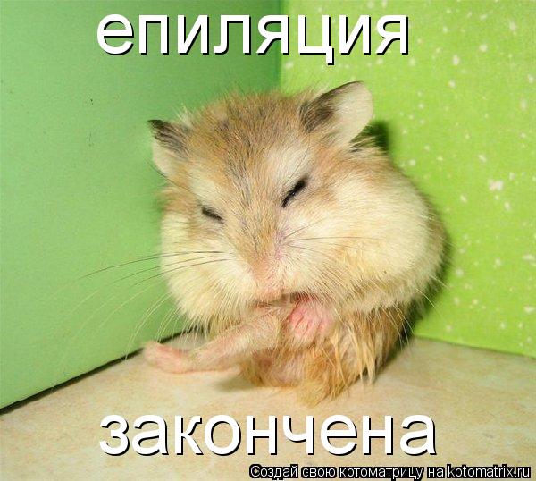 епиляция закончена... Котоматрица: епиляция закончена