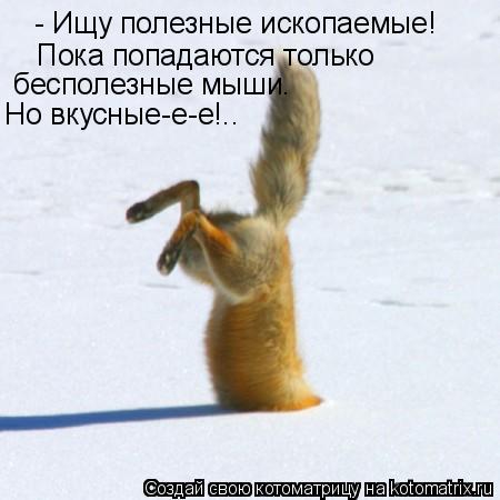 - Ищу полезные ископаемые! Пока попадаются только бесполезные мыши. Но вкусные-е-е!..... Котоматрица: - Ищу полезные ископаемые! Пока попадаются только бесполезные мыши. Но вкусные-е-е!..