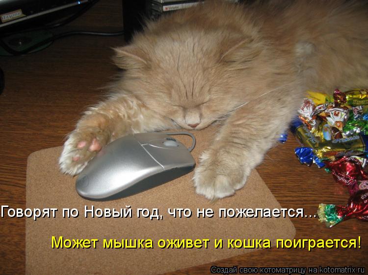 Говорят по Новый год, что не пожелается... Может мышка оживет и кошка поиграется!... Котоматрица: Говорят по Новый год, что не пожелается... Может мышка оживет и кошка поиграется!