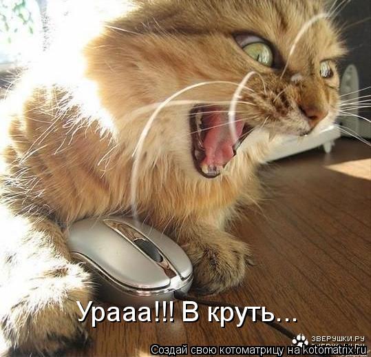 Урааа!!! В круть...... Котоматрица: Урааа!!! В круть...