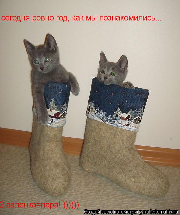 сегодня ровно год, как мы познакомились... 2 валенка=пара! ))))))... Котоматрица: сегодня ровно год, как мы познакомились... 2 валенка=пара! ))))))