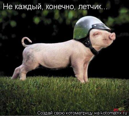 Не каждый, конечно, летчик...... Котоматрица: Не каждый, конечно, летчик...