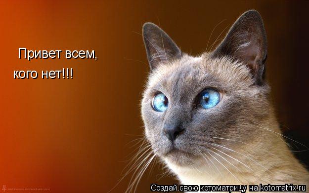 Привет всем, кого нет!!!... Котоматрица: Привет всем, кого нет!!!