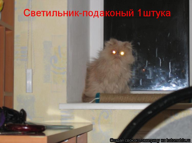 Светильник-подаконый 1штука... Котоматрица: Светильник-подаконый 1штука