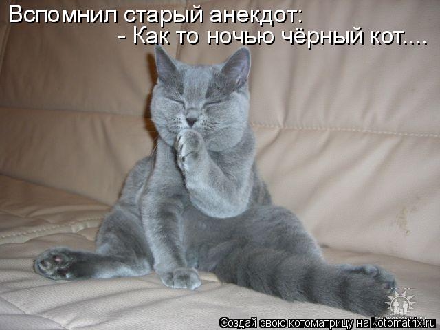 Вспомнил старый анекдот: - Как то ночью чёрный кот....... Котоматрица: Вспомнил старый анекдот: - Как то ночью чёрный кот....