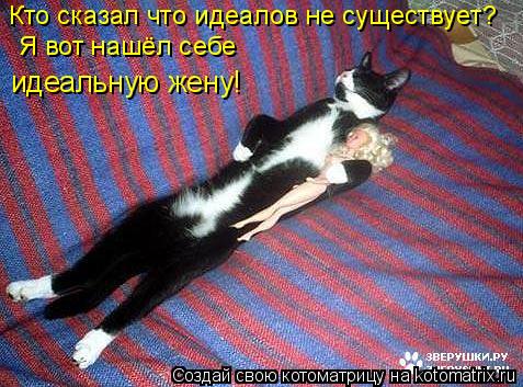Кто сказал что идеалов не существует? Я вот нашёл себе идеальную жену!... Котоматрица: Кто сказал что идеалов не существует? Я вот нашёл себе идеальную жену!