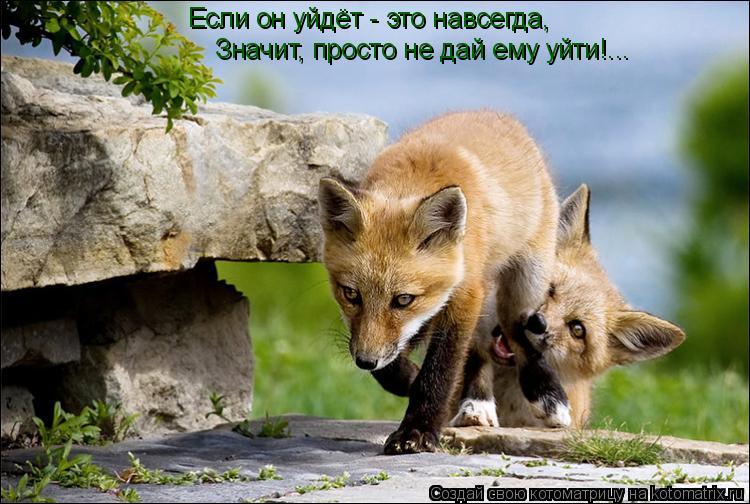 Если он уйдёт - это навсегда, Значит, просто не дай ему уйти!...... Котоматрица: Если он уйдёт - это навсегда, Значит, просто не дай ему уйти!...