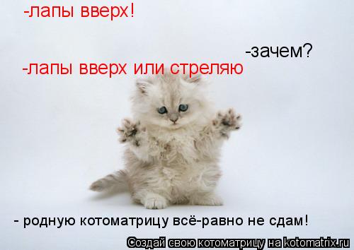 -лапы вверх! -зачем? -лапы вверх или стреляю - родную котоматрицу всё-равно не сдам!... Котоматрица: -лапы вверх! -зачем? -лапы вверх или стреляю - родную котоматрицу всё-равно не сдам!
