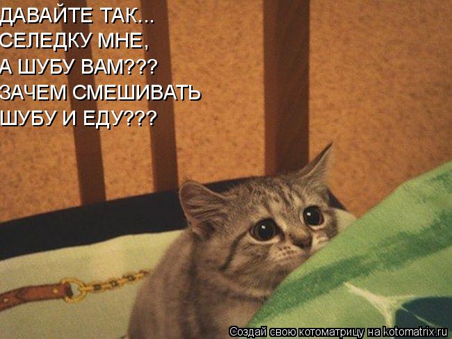 ДАВАЙТЕ ТАК... СЕЛЕДКУ МНЕ, А ШУБУ ВАМ??? ЗАЧЕМ СМЕШИВАТЬ ШУБУ И ЕДУ???... Котоматрица: ДАВАЙТЕ ТАК... СЕЛЕДКУ МНЕ, А ШУБУ ВАМ??? ЗАЧЕМ СМЕШИВАТЬ ШУБУ И ЕДУ???