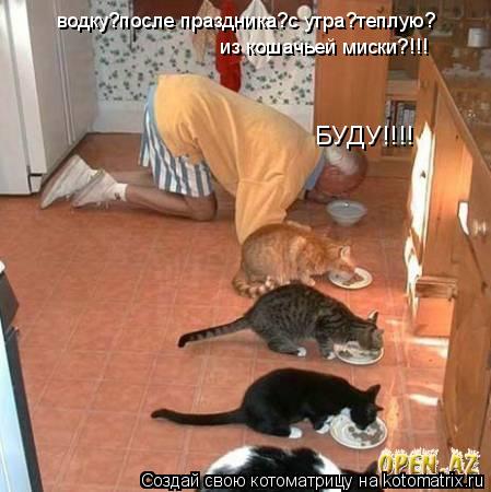 Котоматрица: водку?после праздника?с утра?теплую? из кошачьей миски?!!! БУДУ!!!!