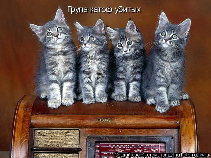 Група катоф yбитых... Котоматрица: Група катоф yбитых
