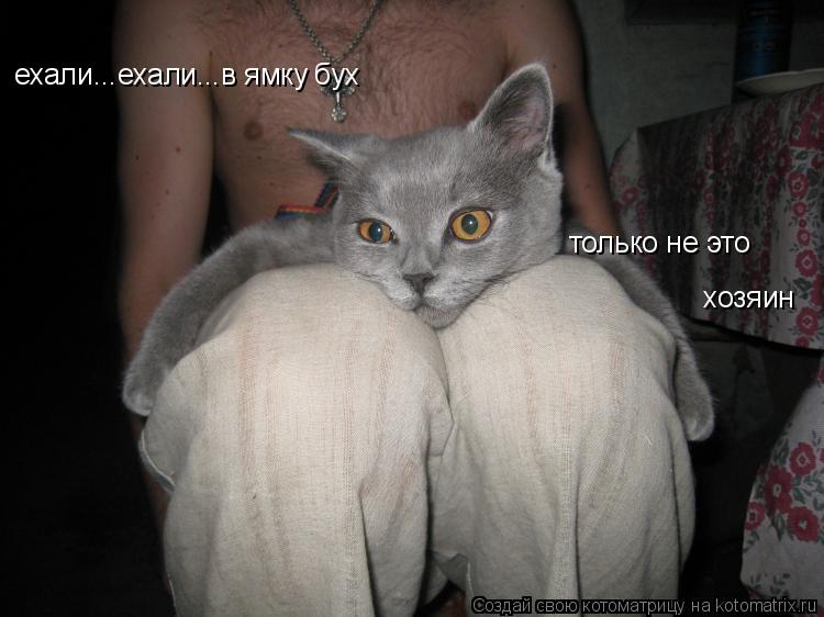 ехали...ехали...в ямку бух только не это хозяин... Котоматрица: ехали...ехали...в ямку бух только не это хозяин