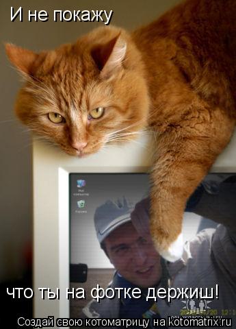 Котоматрица: И не покажу что ты на фотке держиш!