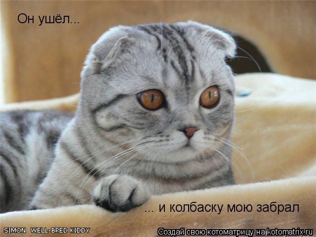 Он ушёл... ... и колбаску мою забрал... Котоматрица: Он ушёл... ... и колбаску мою забрал