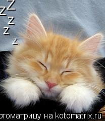 Котоматрица: Z Z Z Z Z