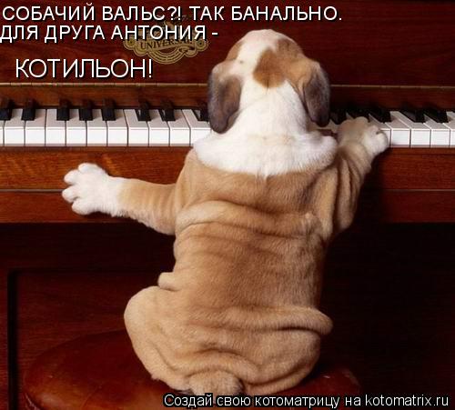 СОБАЧИЙ ВАЛЬС?! ТАК БАНАЛЬНО. ДЛЯ ДРУГА АНТОНИЯ - КОТИЛЬОН!... Котоматрица: СОБАЧИЙ ВАЛЬС?! ТАК БАНАЛЬНО. ДЛЯ ДРУГА АНТОНИЯ - КОТИЛЬОН!
