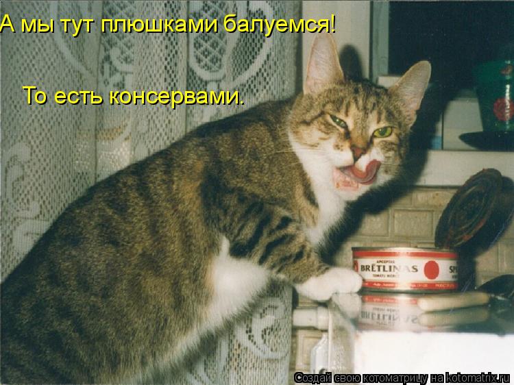 А мы тут плюшками балуемся! То есть консервами.... Котоматрица: А мы тут плюшками балуемся! То есть консервами.