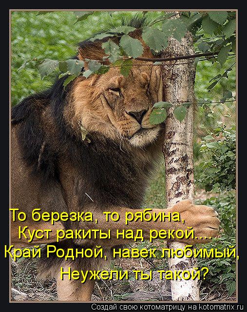 Неужели ты такой? То березка, то рябина, Куст ракиты над рекой.... Край Родной, навек любимый,... Котоматрица: Неужели ты такой? То березка, то рябина, Куст ракиты над рекой.... Край Родной, навек любимый,