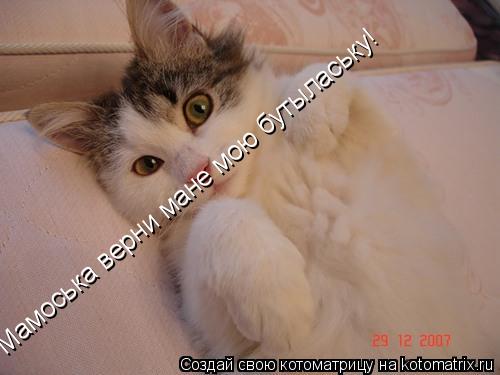 Мамоська верни мане мою бутылаську!... Котоматрица: Мамоська верни мане мою бутылаську!