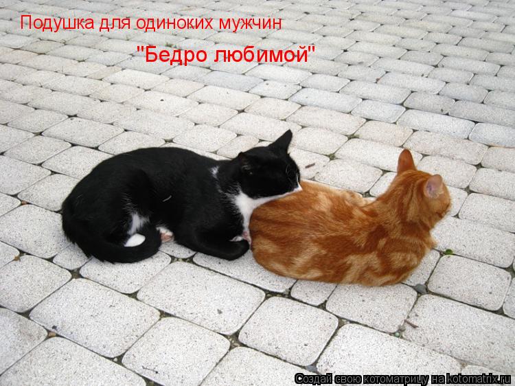 Подушка для одиноких мужчин "Бедро любимой"... Котоматрица: Подушка для одиноких мужчин "Бедро любимой"