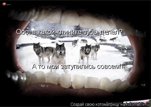 Ооо, в какой клинике зубы делал? А то мои затупились совсем!!... Котоматрица: Ооо, в какой клинике зубы делал? А то мои затупились совсем!!
