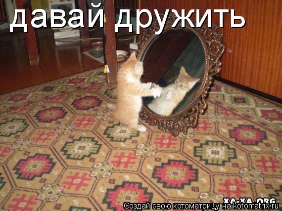 давай дружить... Котоматрица: давай дружить