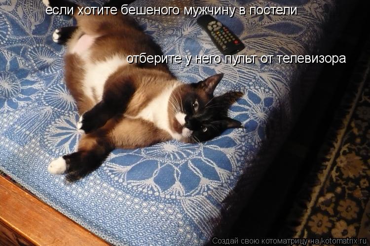 если хотите бешеного мужчину в постели отберите у него пульт от телевизора... Котоматрица: если хотите бешеного мужчину в постели отберите у него пульт от телевизора