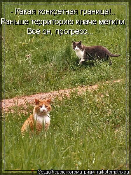 - Какая конкретная граница!.. Раньше территорию иначе метили. Всё он, прогресс...... Котоматрица: - Какая конкретная граница!.. Раньше территорию иначе метили. Всё он, прогресс...