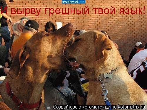 И вырву грешный твой язык!... Котоматрица: И вырву грешный твой язык!